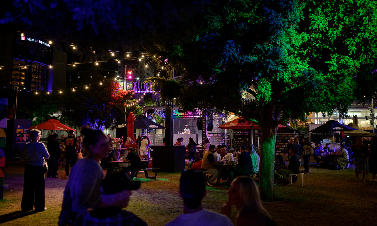 Festival Garden at night.jpg